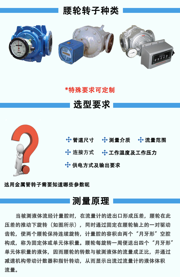 腰(yao)輪流量計